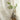 Bensen Linen Semi Sheer Outdoor Curtains