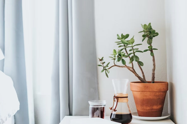 How to Complete Your Room Look with Custom Curtains