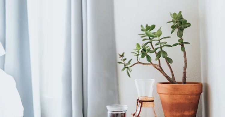 How to Complete Your Room Look with Custom Curtains