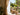 Should Curtains Touch the Floor? 15+ Expert Tips on How to Hang Curtains Perfectly (2025 Guide)