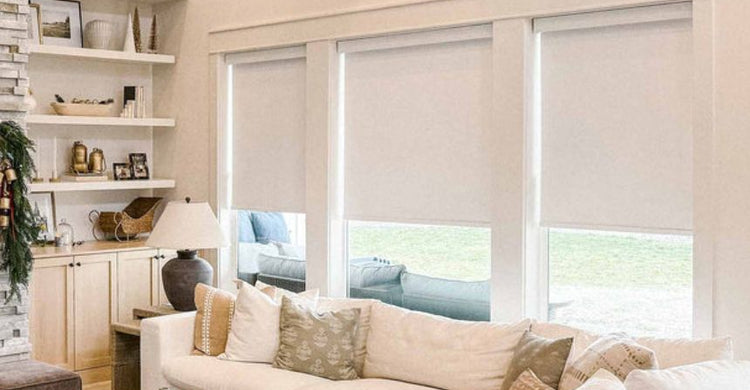 The Ultimate Guide to Choosing the Perfect Blackout Roller Shades: 6 Premium Options Compared
