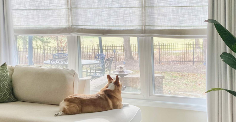 How to Make Your Home Safer with Cordless Shades: A Must-Read for Parents & Pet Owners