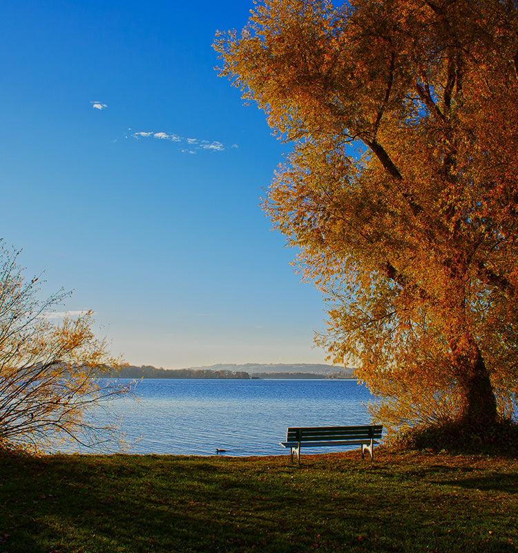 Eloise Jute Custom Woven Wood Shades evoke serene lakeside views, emphasizing natural and healthy living by bringing the beauty of the outdoors inside.