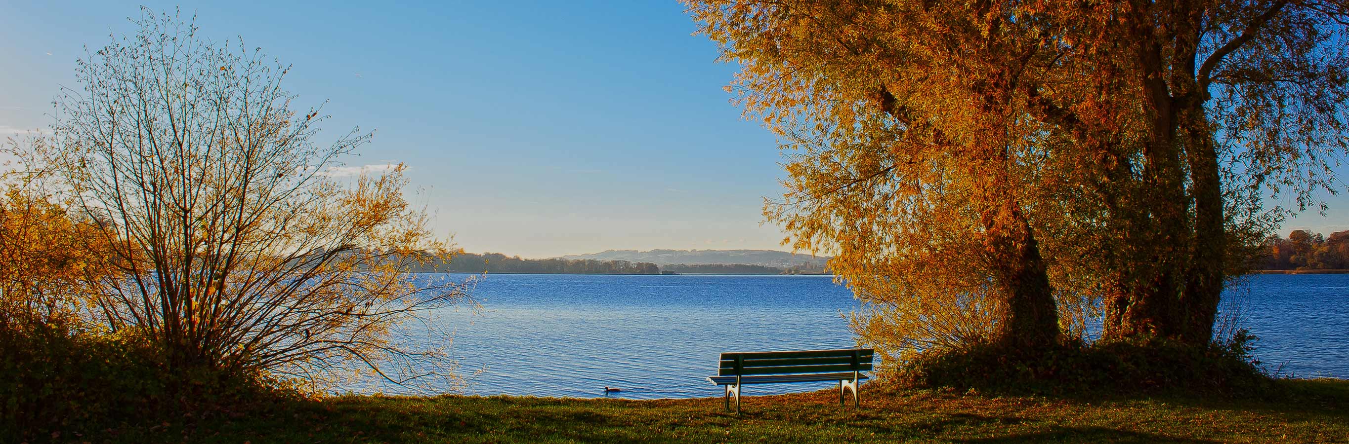 The tranquil autumn lake scene reflects the natural and healthy essence of Eloise Jute Custom Woven Wood Shades, promoting peaceful, light-filled spaces.