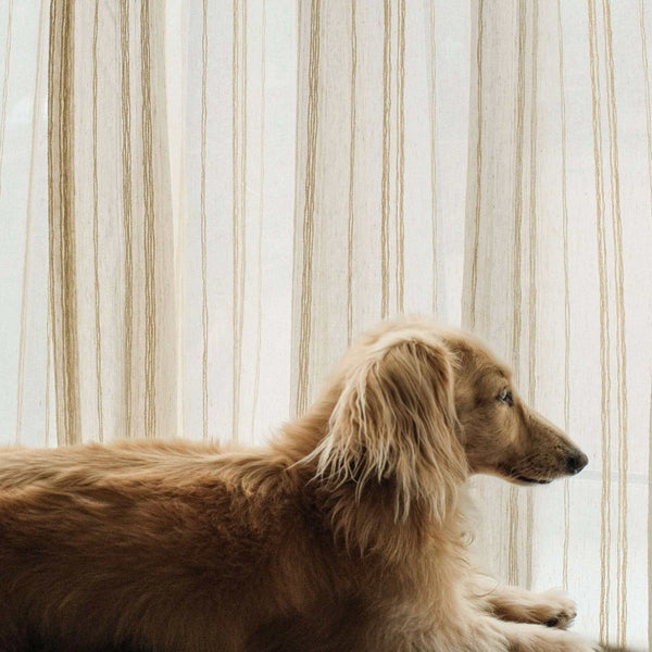 Amber Stripe Pattern Curtains