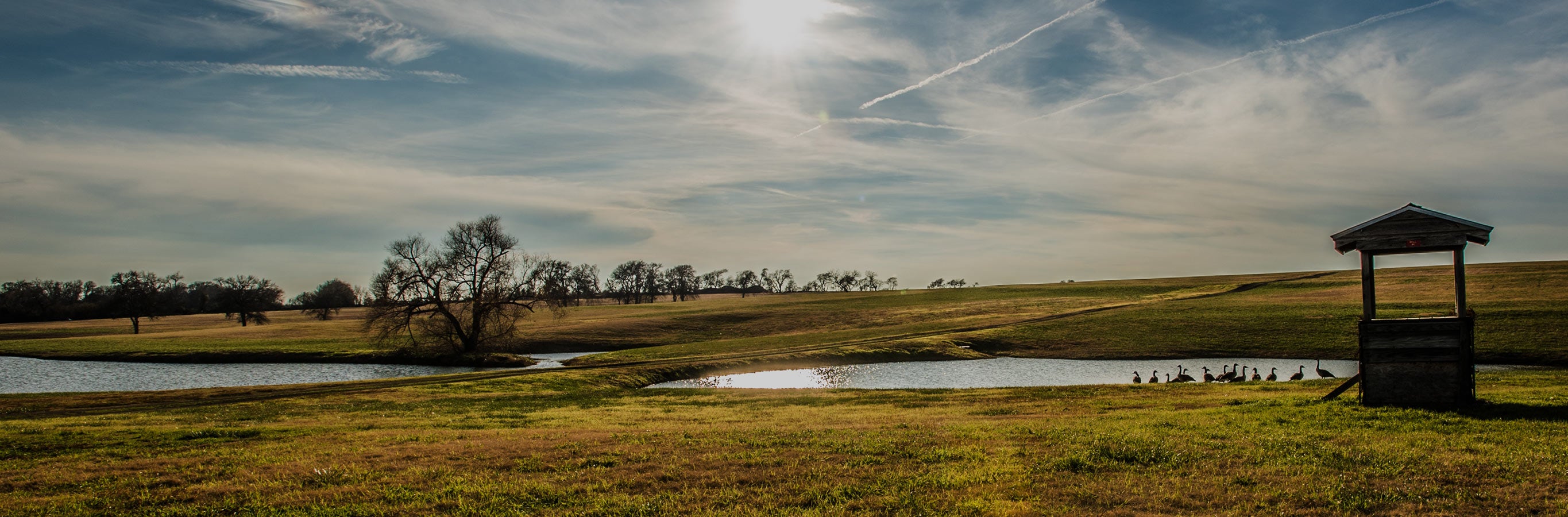Idyllic outdoor scene with sun-drenched fields, reflecting the gentle light filtration of Aurora Kenaf Custom Woven Wood Shades for a natural home.