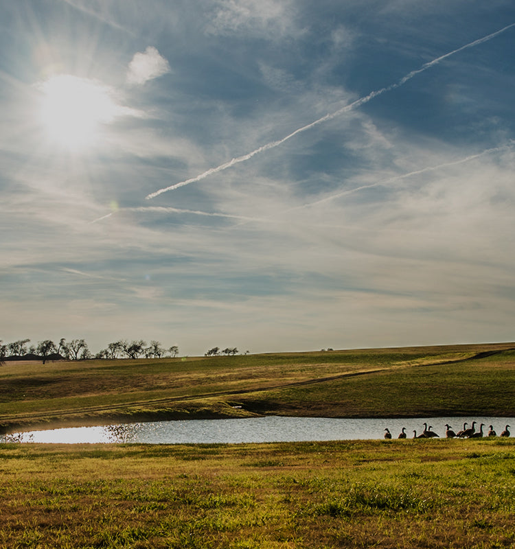 Expansive natural landscape with a serene pond and soft sunlight, evoking the "Natural & Healthy" essence of Aurora Kenaf Custom Woven Wood Shades.