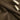 Umber Brown