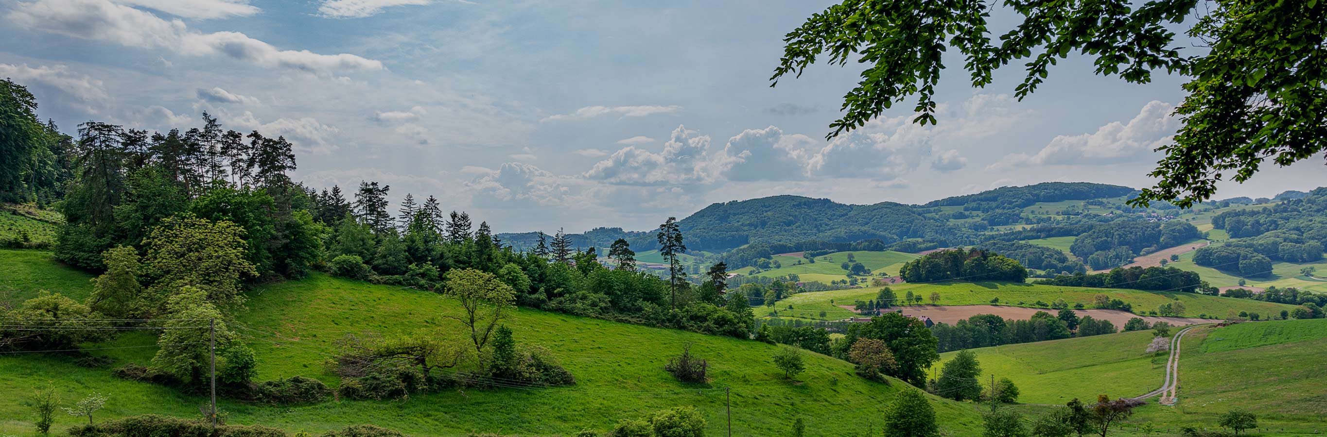 A picturesque landscape suggests the peaceful ambiance created by Emily Leaves Pattern Sheer Curtains, offering soft light and privacy while maintaining an open feel.