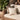 Canvas,Graham Sunbrella Outdoor Pillow Cover 1 Piece