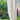 White,Graham Sunbrella Acrylic Outdoor Curtains