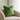Emerald Green,Lita Custom Made Pillow Cover 1 Piece