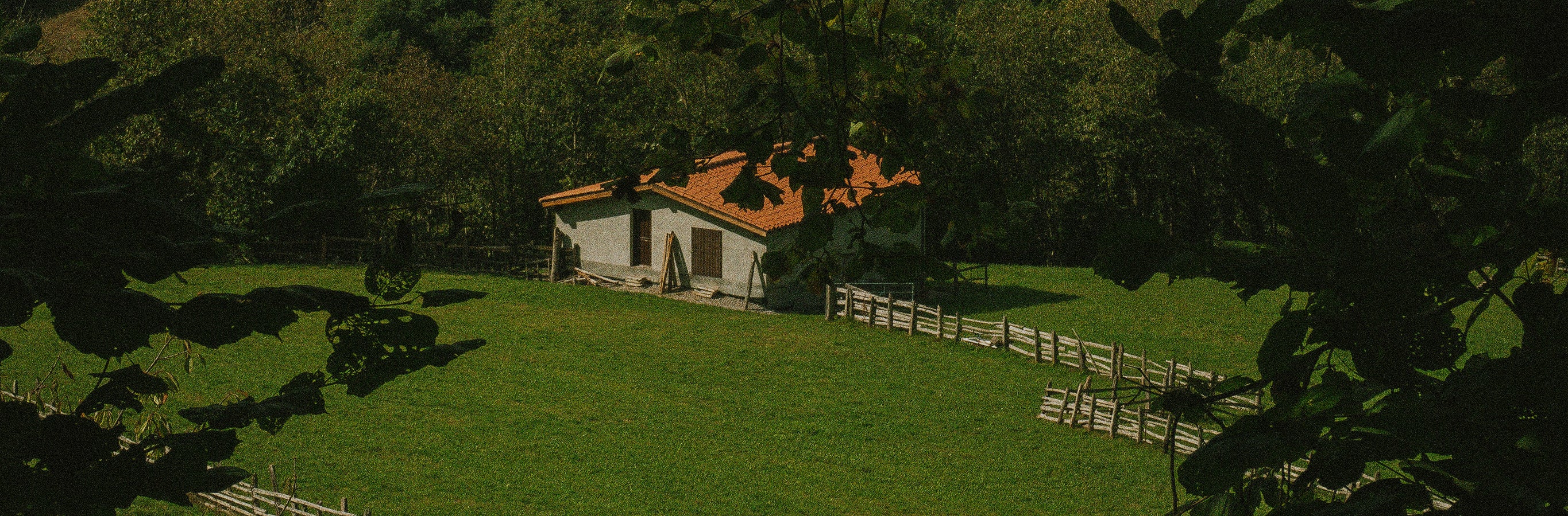 Secluded house in a green meadow, framed by lush trees. This image evokes the peaceful privacy and natural escape Monica Floral Blackout Curtains deliver.