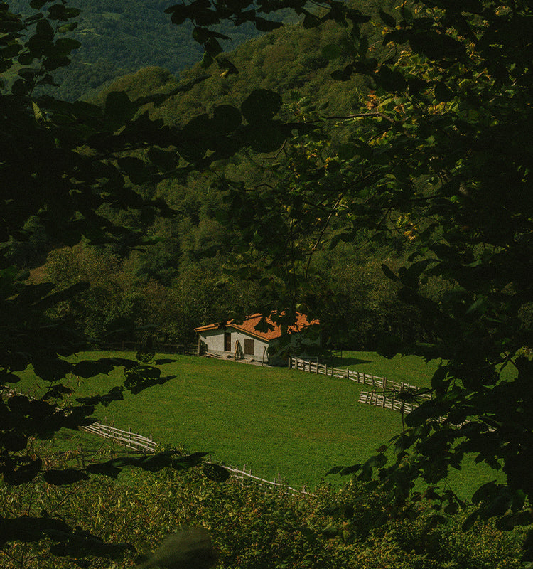 Image conveying privacy and tranquility, subtly evoking the serene ambiance Monica Seasonal Floral Blackout Curtains bring to any room, blocking outside views. Secluded house in a green meadow, framed by lush trees.