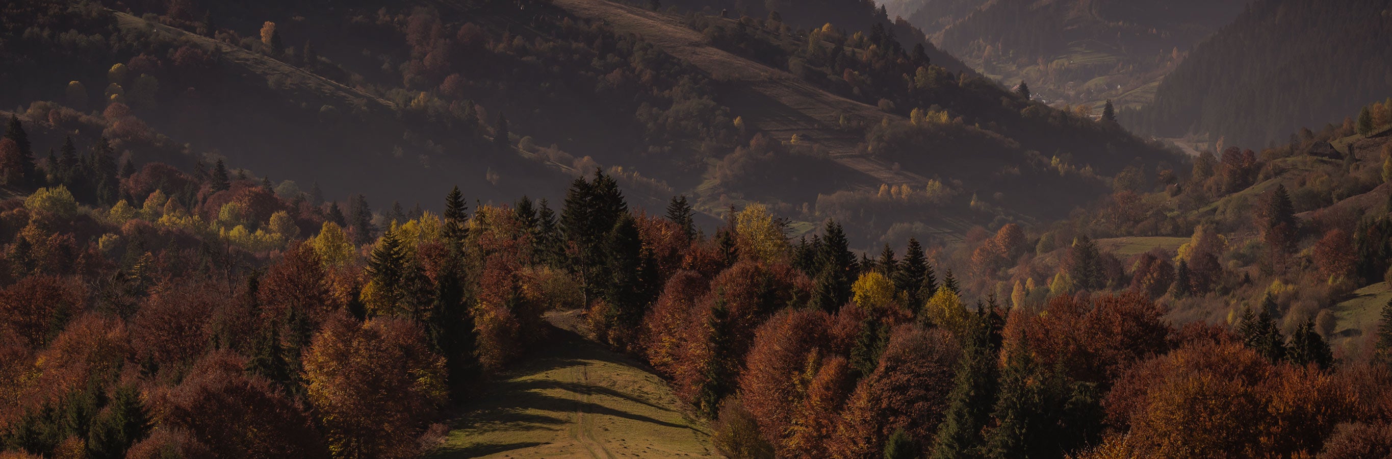 The landscape inspires the peace offered by Penelope Retro Texture Curtains' noise reduction and thermal properties.