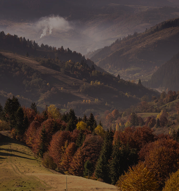 Penelope Retro Texture Curtains complement a serene, autumn mountain view, evoking warmth and coziness.