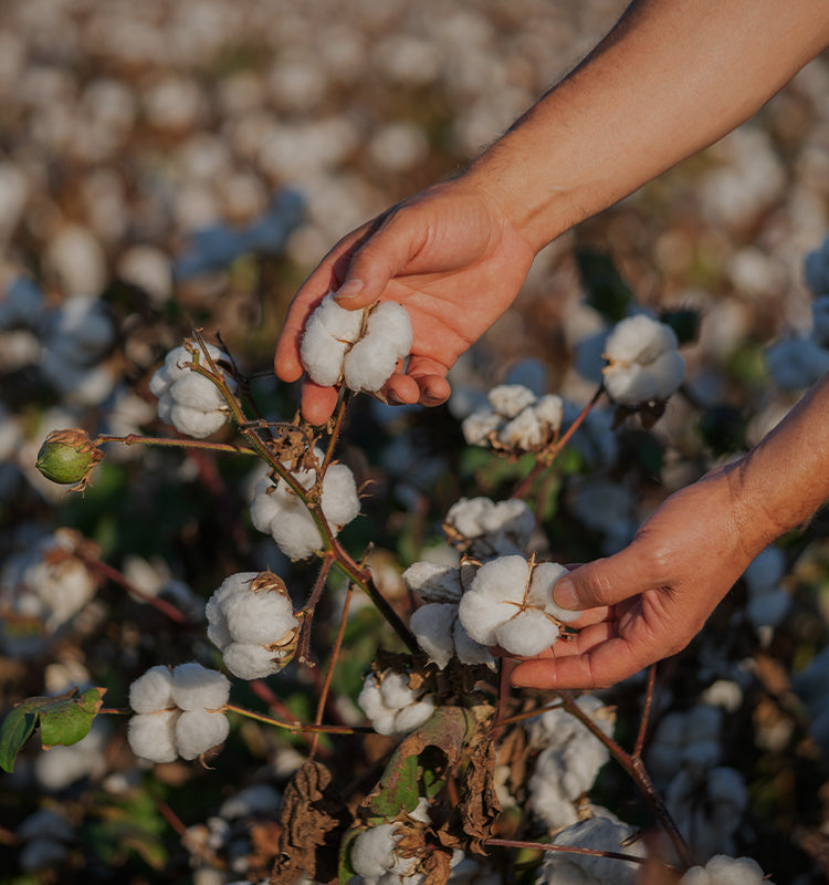 Snow Lightweight Pure Cotton Curtains provide an all-natural solution for window treatments, crafted from 100% cotton. These natural curtains offer a breathable, comfortable atmosphere, making them ideal for any room that needs a fresh, healthy vibe. Custom-made curtains, available online or as made-to-order curtains, ensure a perfect fit for your home’s windows.