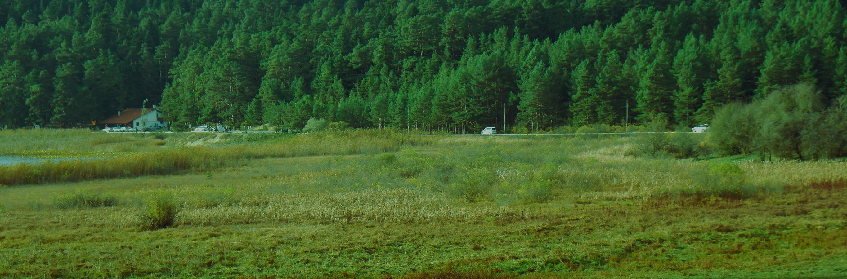 Even in a vast outdoor scene, the delicate artistry of Taylor Embroidered Floral Pattern Curtains suggests a cozy interior. These custom drapes, made from a healthy blend of cotton, linen, and polyester, offer 30-40% light blocking with a beautiful floral design, perfect for a natural aesthetic.