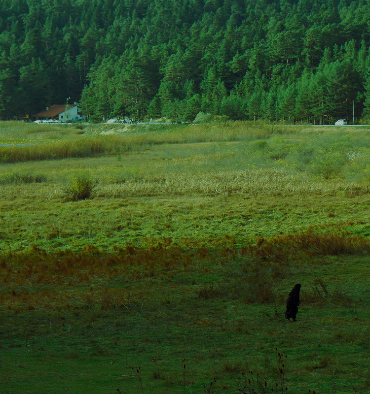 Taylor Embroidered Floral Pattern Curtains bring natural elegance to any view. Imagine this serene landscape perfectly framed by these healthy, floral-patterned custom window treatments, offering 30-40% light blocking for privacy and a touch of farmhouse charm.