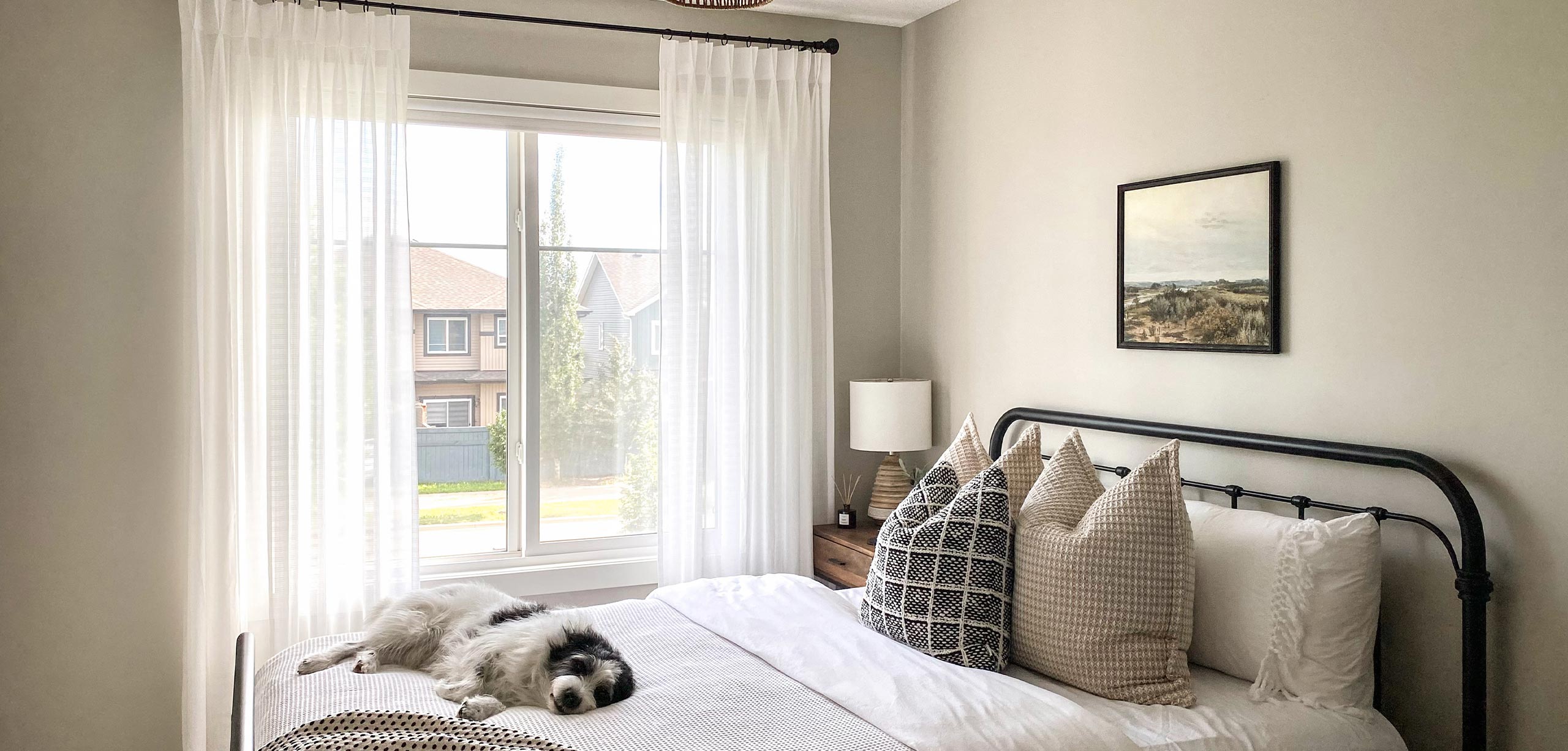 Scratch Resistant Curtains banner