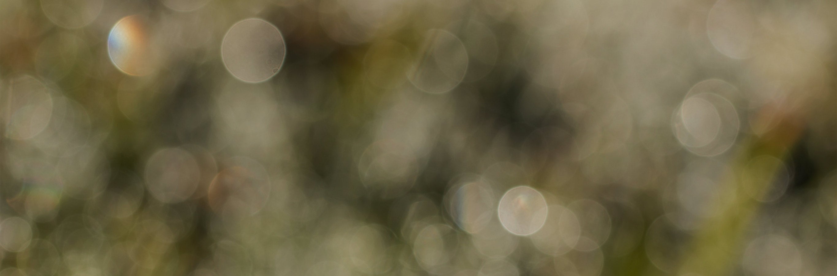 Ava Linen Look Semi Sheer Curtains provide a dreamy ambiance, as suggested by this image's blurred light, offering privacy while subtly softening natural illumination.