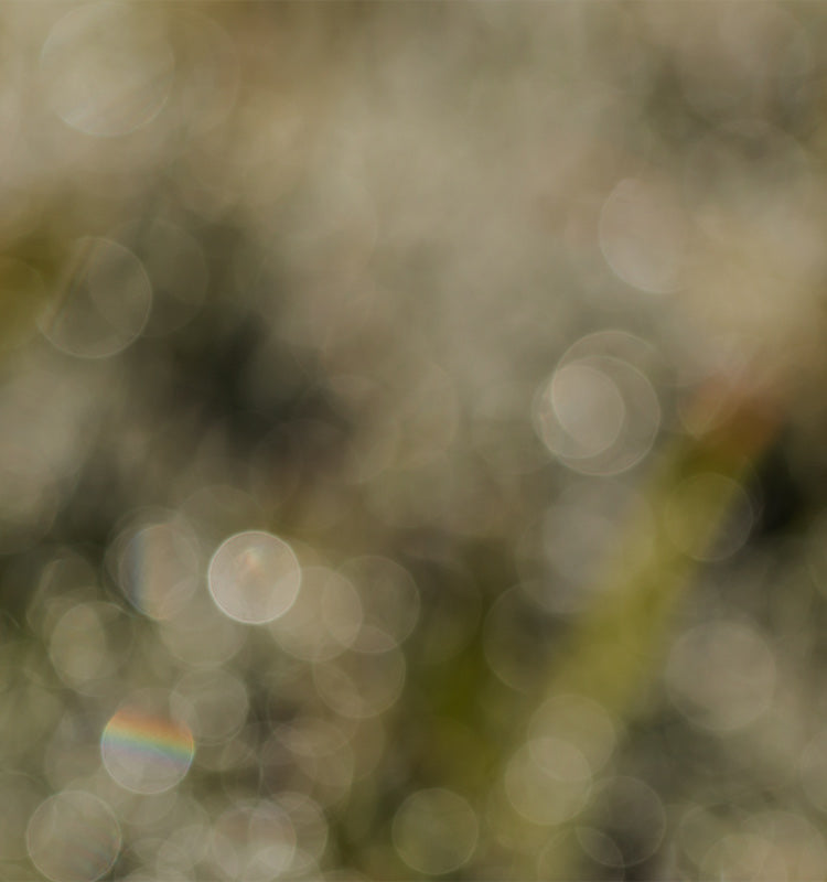 Ava Linen Look Semi Sheer Curtains: This image captures the soft, diffused light effect created by semi-sheer curtains, highlighting their ability to transform harsh light into a gentle glow.