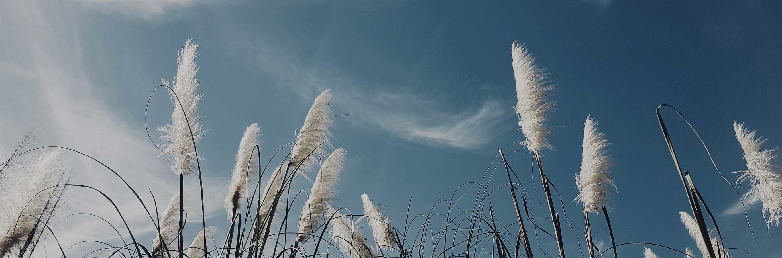 Serene outdoor scene suggesting the natural elegance and light, airy feel of Daniel Permanently Flame Resistant Curtains' linen pattern.