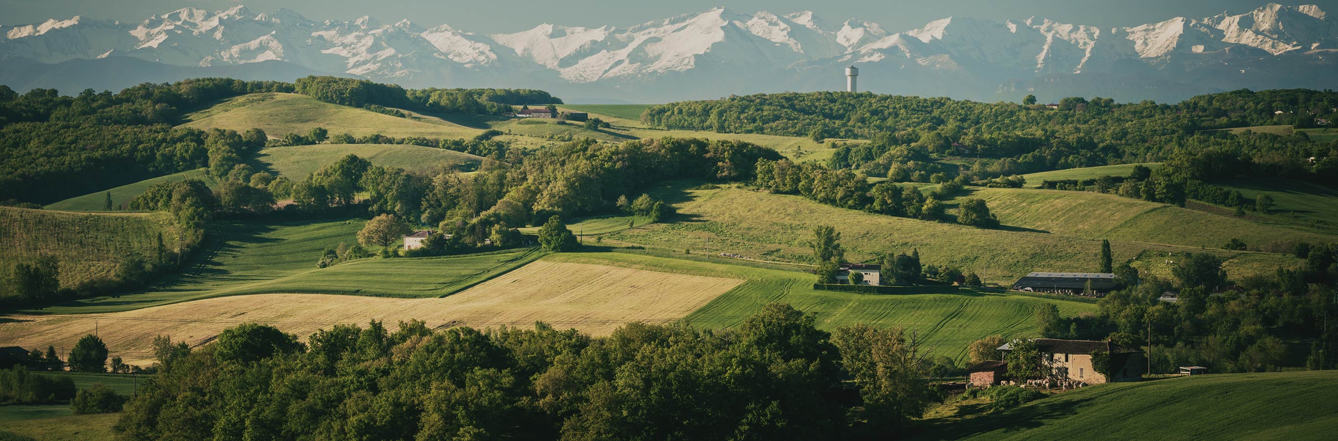 Elliot Heavy 100% Linen Curtains offer a natural frame for breathtaking views like these rolling green hills and distant snowy mountains, bringing the outdoors in.