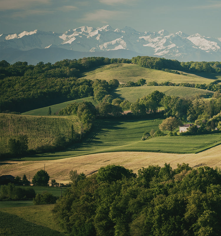 Imagine Elliot Heavy 100% Linen Curtains in a home overlooking this serene landscape, providing both privacy and a harmonious, natural aesthetic to match the view.