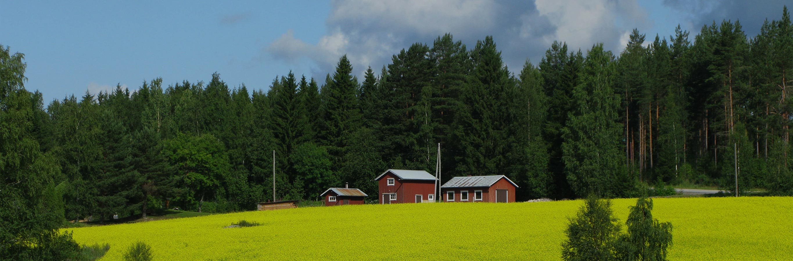 Fronde Leaf Pattern Curtains draw inspiration from a lush, natural environment, perfect for creating a refreshing and harmonious living space