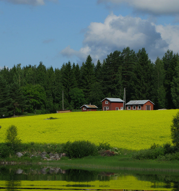 The vibrant natural landscape inspires the Fronde Leaf Pattern Curtains, bringing fresh, serene outdoor beauty into your home.