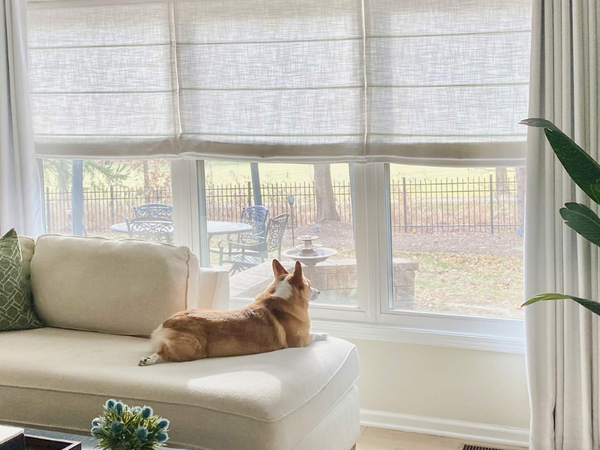 How to Make Your Home Safer with Cordless Shades: A Must-Read for Parents & Pet Owners