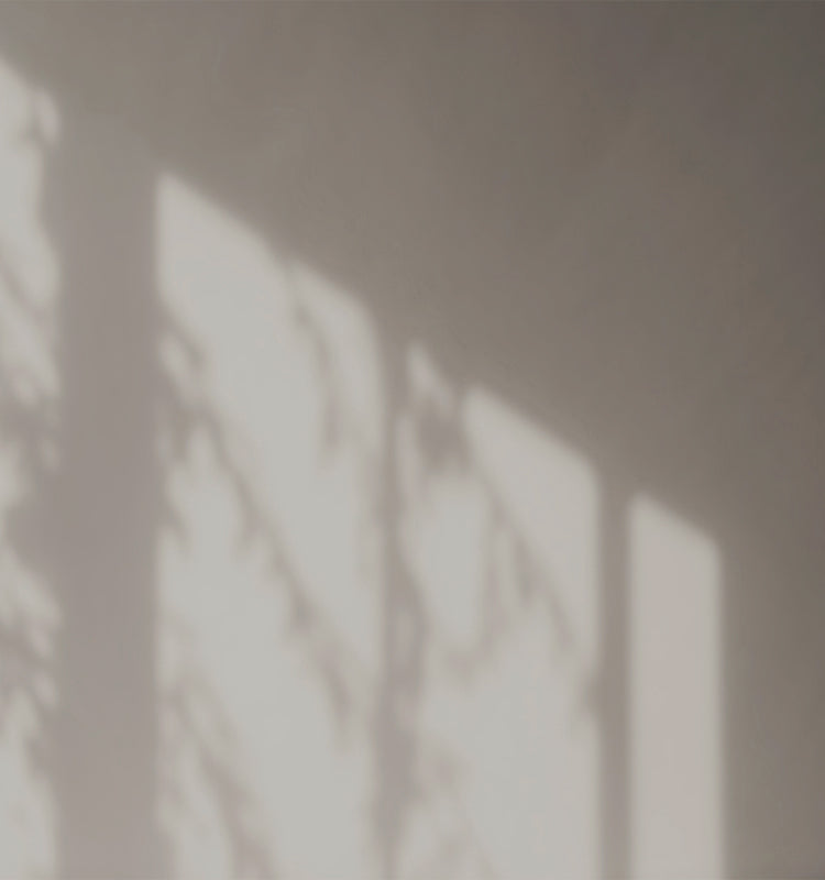 Sunlight streaming through the sheer curtain, casting soft, natural shadow patterns on a light-colored wall, creating a serene indoor ambiance.