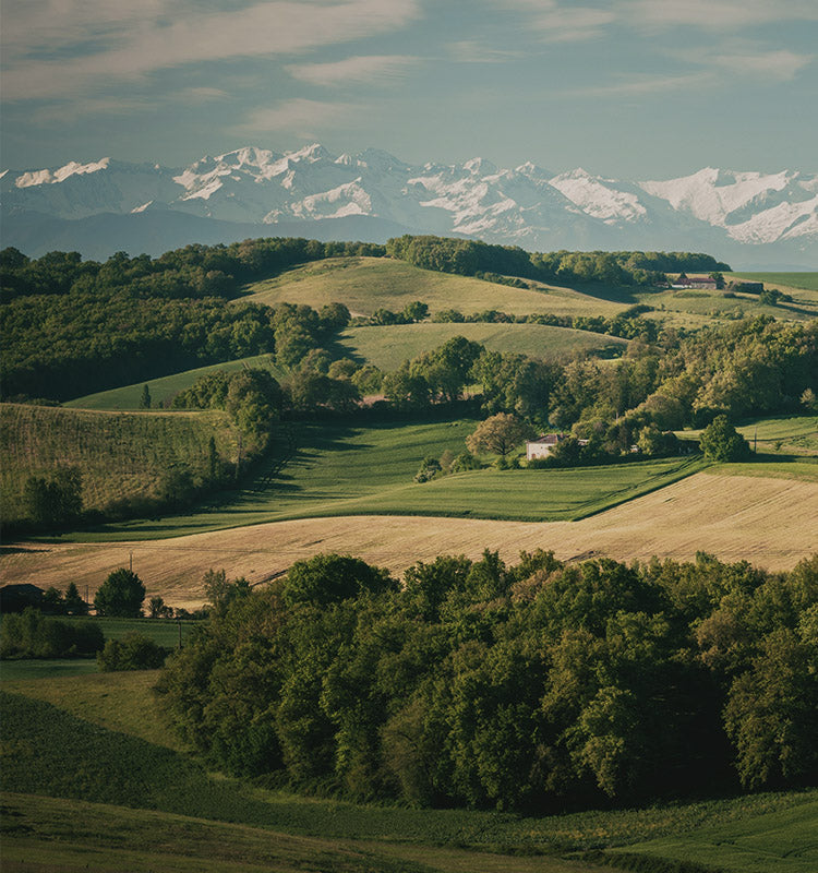 Oakley Cross Linen Texture Curtains blend seamlessly with nature's palette, offering style inspired by serene landscapes.