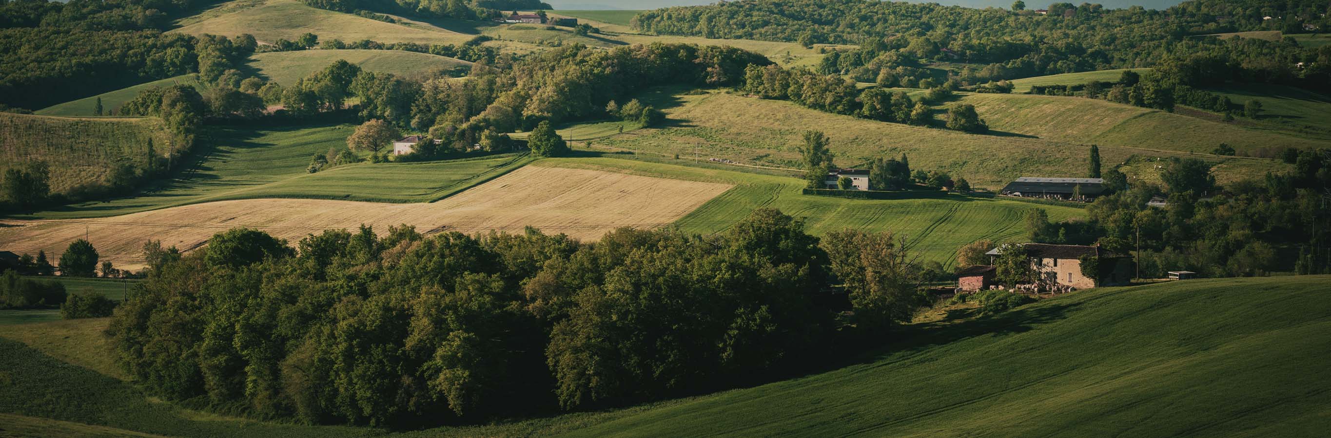 Evoking calm, Oakley Cross Linen Texture Curtains echo the natural beauty of rolling hills and distant snowy peaks.