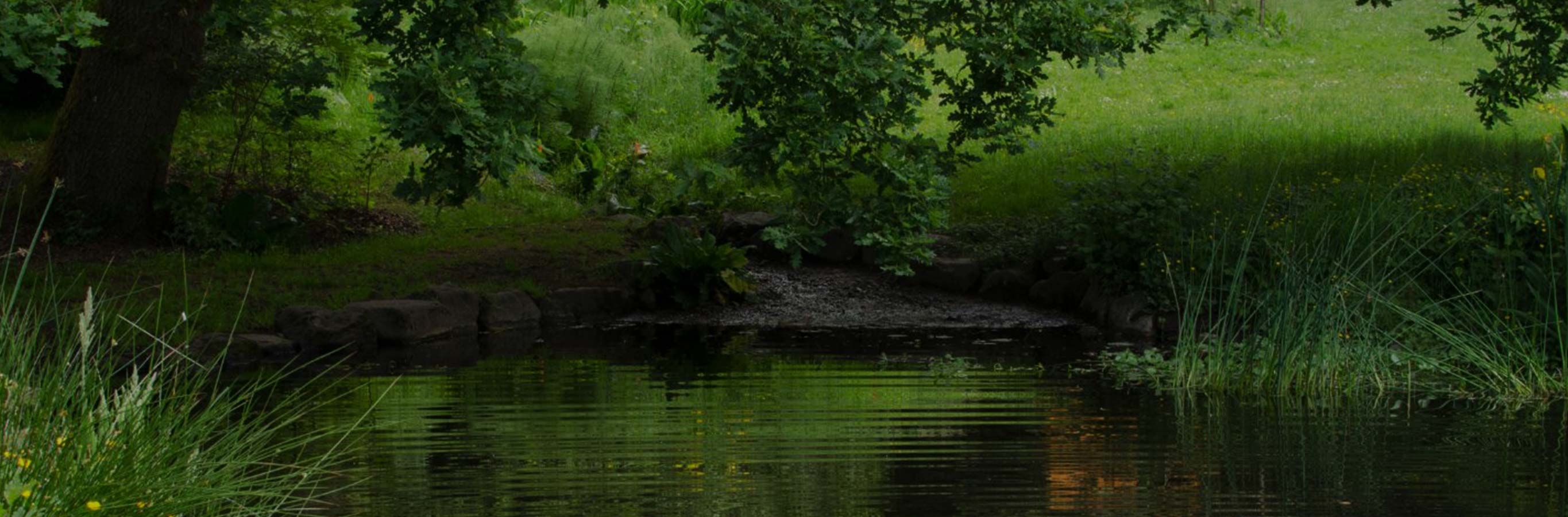 Vibrant green nature scene with water, suggesting the natural inspiration for Olivia Embroidery Linen Look Curtains' Winter Jasmine pattern and soft light filtering.