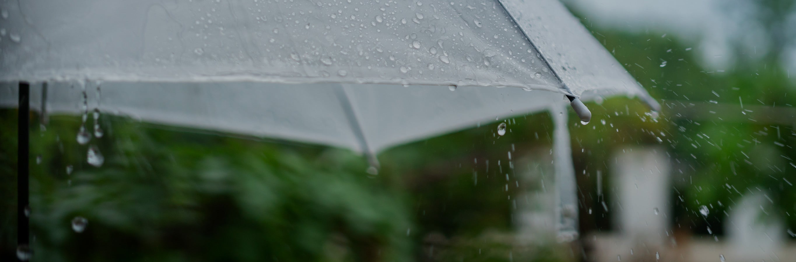 Rain falling on an umbrella, emphasizing the "raindrop" pattern detail of the Rebecca Raindrop Texture Sheer Curtains.