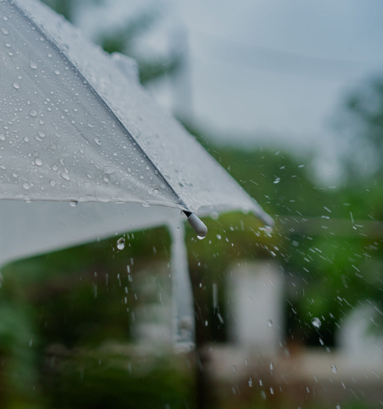 Close-up of raindrops on an umbrella, illustrating the delicate Rebecca Raindrop Texture Sheer Curtains pattern and its natural inspiration.