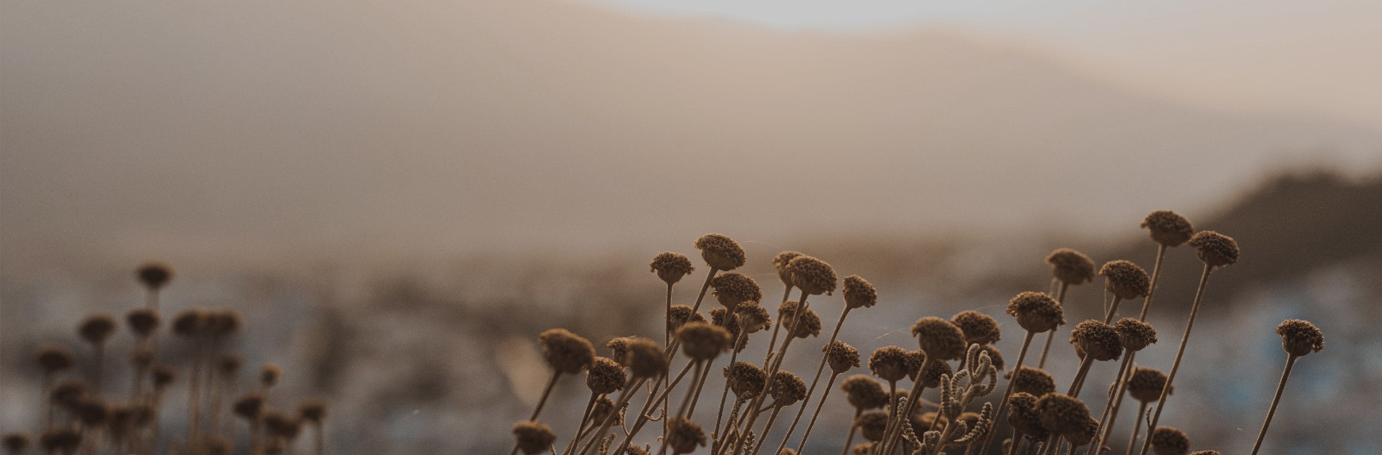 Nature's calm reflected, like the peace brought by Urban 100% Blackout Narrow Herringbone Curtains.