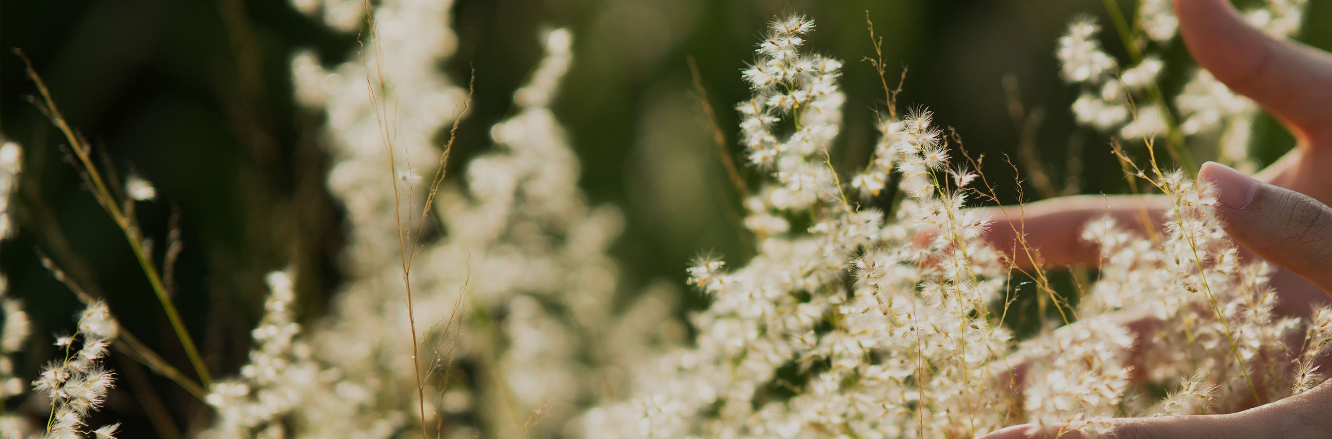 Experience the light and airy feel of Vanessa Crepe Texture Semi Sheer Curtains, designed to gently diffuse sunlight while maintaining a sense of privacy.