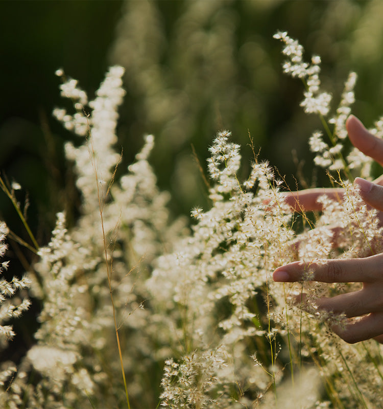 Vanessa Crepe Texture Semi Sheer Curtains, with a soft crepe texture, allow gentle light filtering, providing a cozy and airy feel to any room.