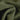 Olive Green,Verona Velvety Texture Heavy Weight Curtains
