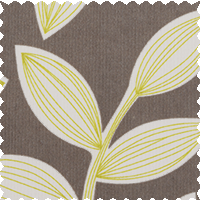 Fronde - Taupe